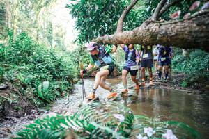 BIB: 
                            <button type="button" onclick="openModal(25478203)" class="btn btn-primary btn-sm float-right btn-popup" data-toggle="modal" data-target=".modal-high-quality">
                        <i class="fas fa-shopping-cart"></i> Add to Cart
                    </button>
                                            <button type="button" onclick="isThisMe(25478203, true)" class="btn btn-success btn-sm float-right btn-popup btn-isme hidden" data-toggle="tooltip" data-placement="bottom" title="นี่คือรูปของคุณใช่ไหม คลิกที่นี่เพื่อเอาเข้าอัลบั้ม">
                        <i class="fas fa-plus"></i> Add to album
                    </button>
                    <button type="button" onclick="isThisMe(25478203, false)" class="btn btn-warning btn-sm float-right btn-popup btn-isnotme hidden">
                        <i class="fas fa-ban"></i> Remove from album
                    </button>